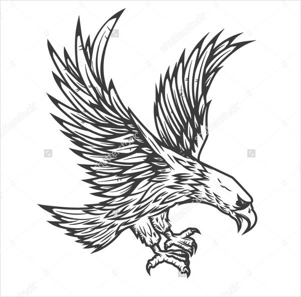 600x593 Eagle Vectors