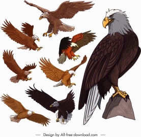 277x268 Eagle Vector Vectors Stock For Free Download