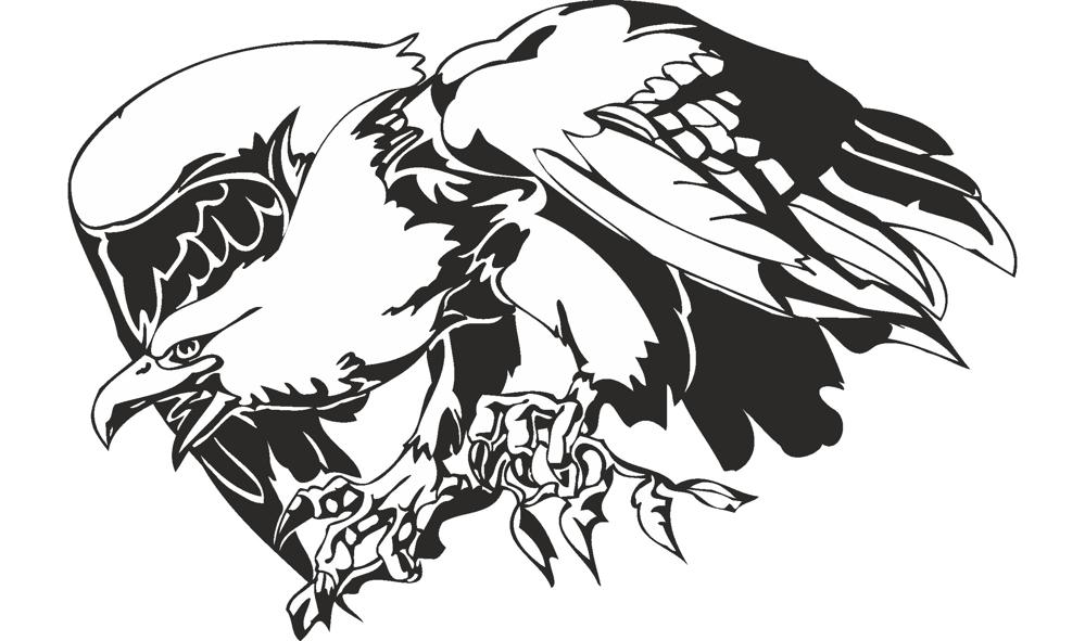 999x591 Predatory Bird Eagle Vector Free Vector Cdr Free Download Vector