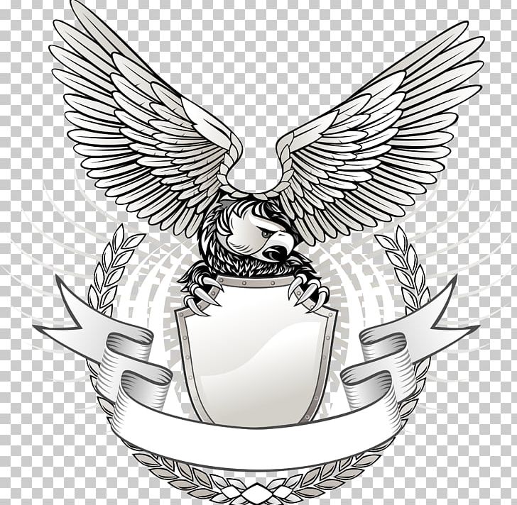 728x712 Eagle Png, Clipart, Animals, Beak, Bir, Bird, Eagle Vector Free