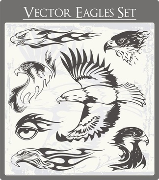 Eagle Free Vector Download 324x368 Eagle Free Vector Download