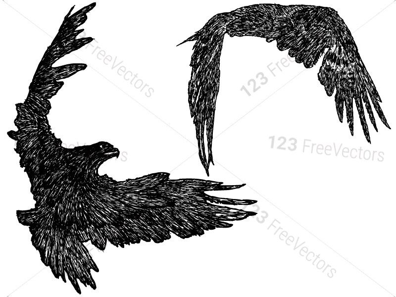 Hand Drawn Eagle Vector And Photoshop Brush Pack Eagle 800x600 Hand Drawn Eagle Vector And Photoshop Brush Pack Eagle