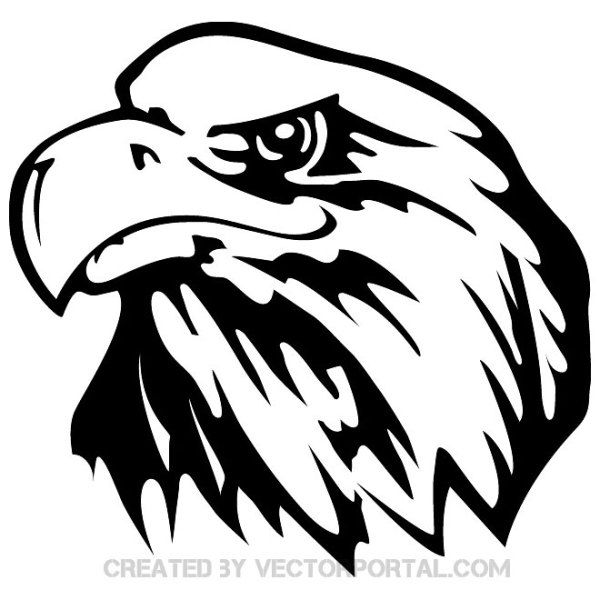 Eagle Image Free Vector Drawing In Vector Free, Eagle 600x600 Eagle Image Free Vector Drawing In Vector Free, Eagle