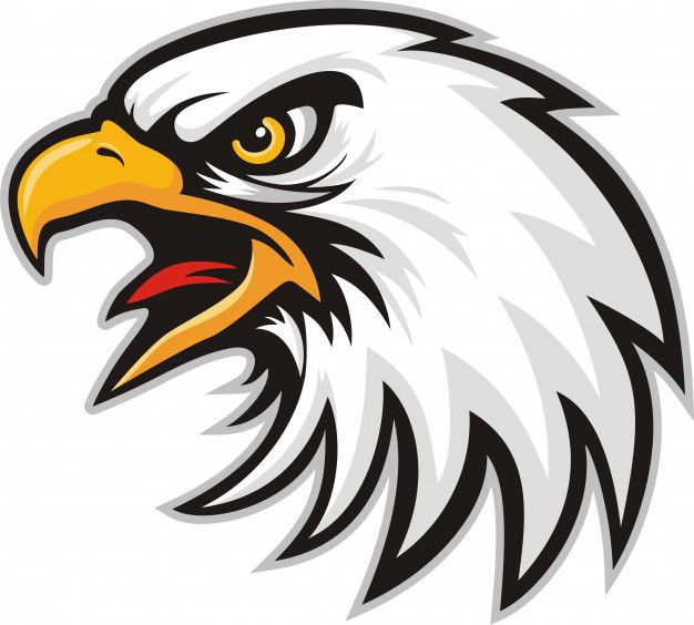 626x564 Mascot Head Of An Eagle Premium Vector Pantalla In Eagle