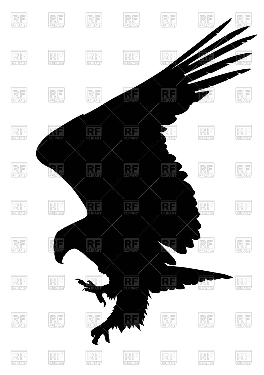 846x1200 Silhouette Of Hunting Eagle Vector Image Of Plants And Animals