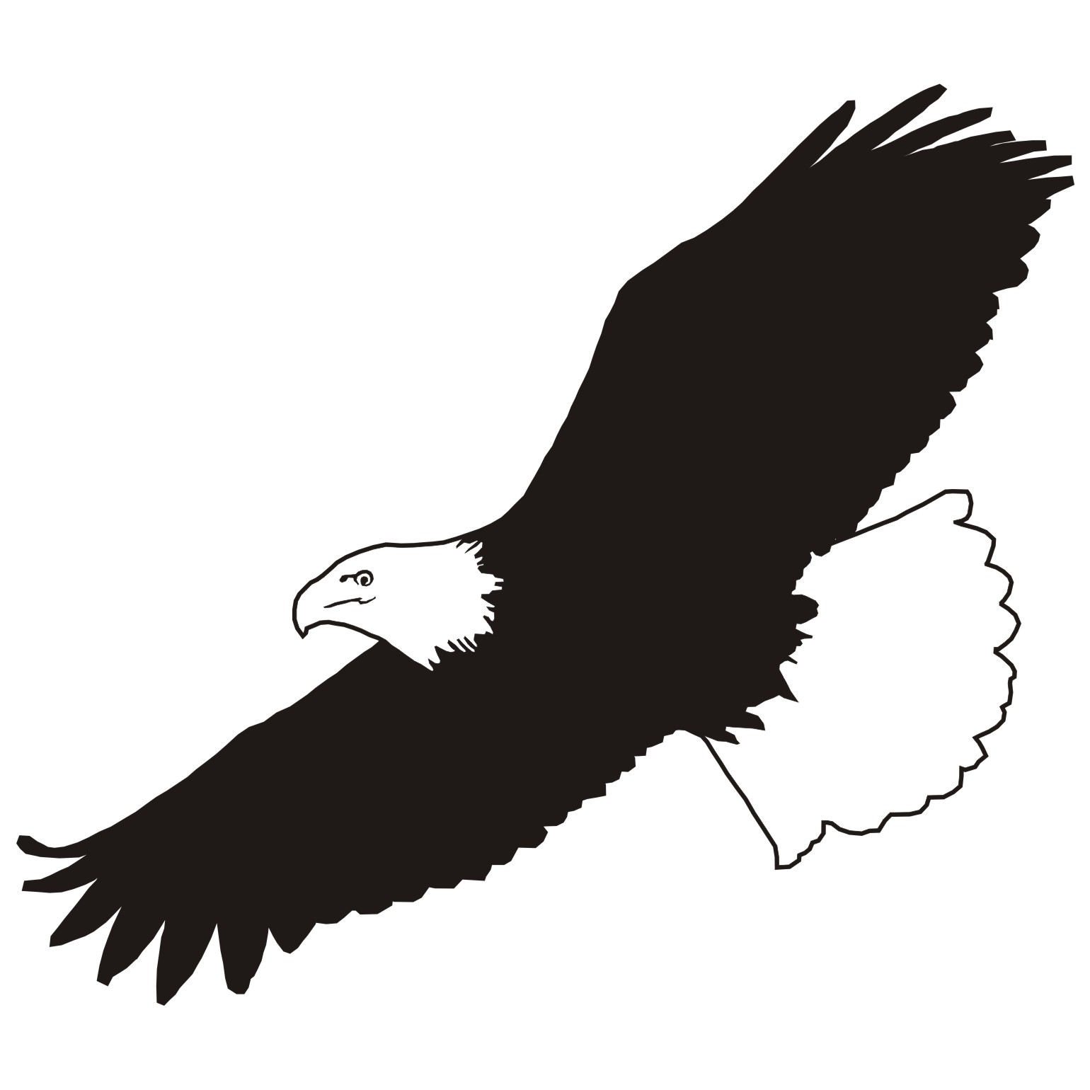 1540x1540 Vector For Free Use Flying Eagle Vector