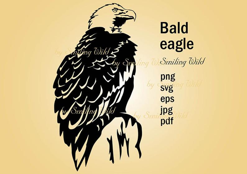 794x562 Bald Eagle Clipat Bald Eagle Vector Graphic Art Printable Etsy