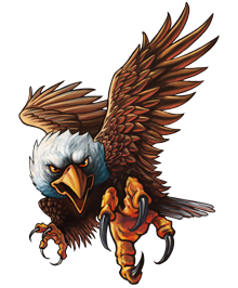 Eagle Vector Png