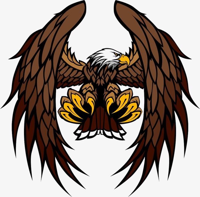650x641 Eagle Vector, Eagle, Asuka, Animal World Png And Vector