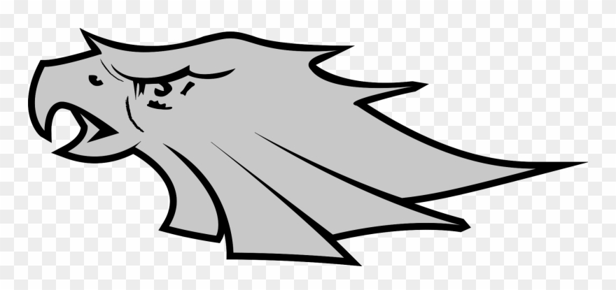 880x415 Eagle Vector Image