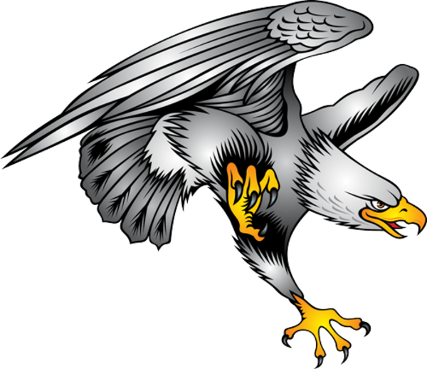 600x518 Free Png Hd Of Eagles Transparent Hd Of Eagles Images