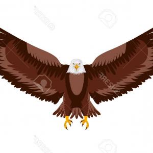 300x300 Png Bald Eagle Clip Art Eagle Vector Newwaysys
