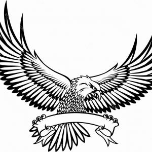 300x300 United States T Shirt Bald Eagle American Eagle Ou Avnwl Soidergi