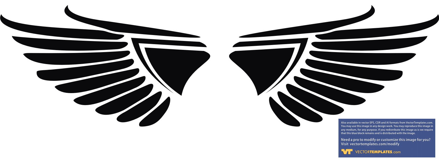 Eagle Wings Vector