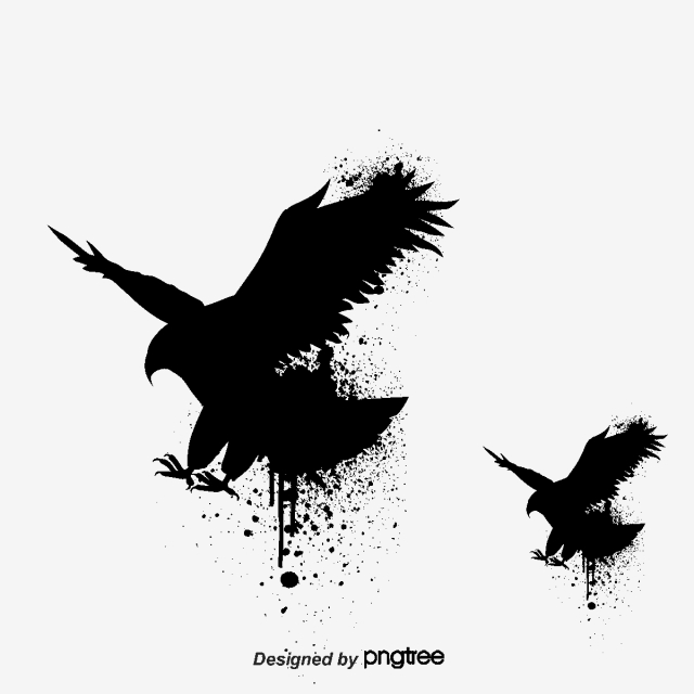640x640 Eagle Wings Png, Vector, And Clipart With Transparent