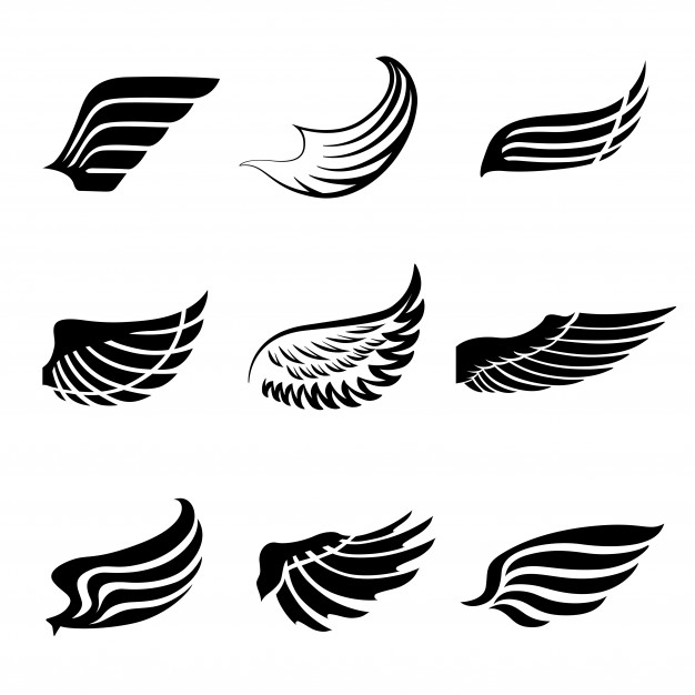 626x626 Eagle Wings Vectors, Photos And Free Download