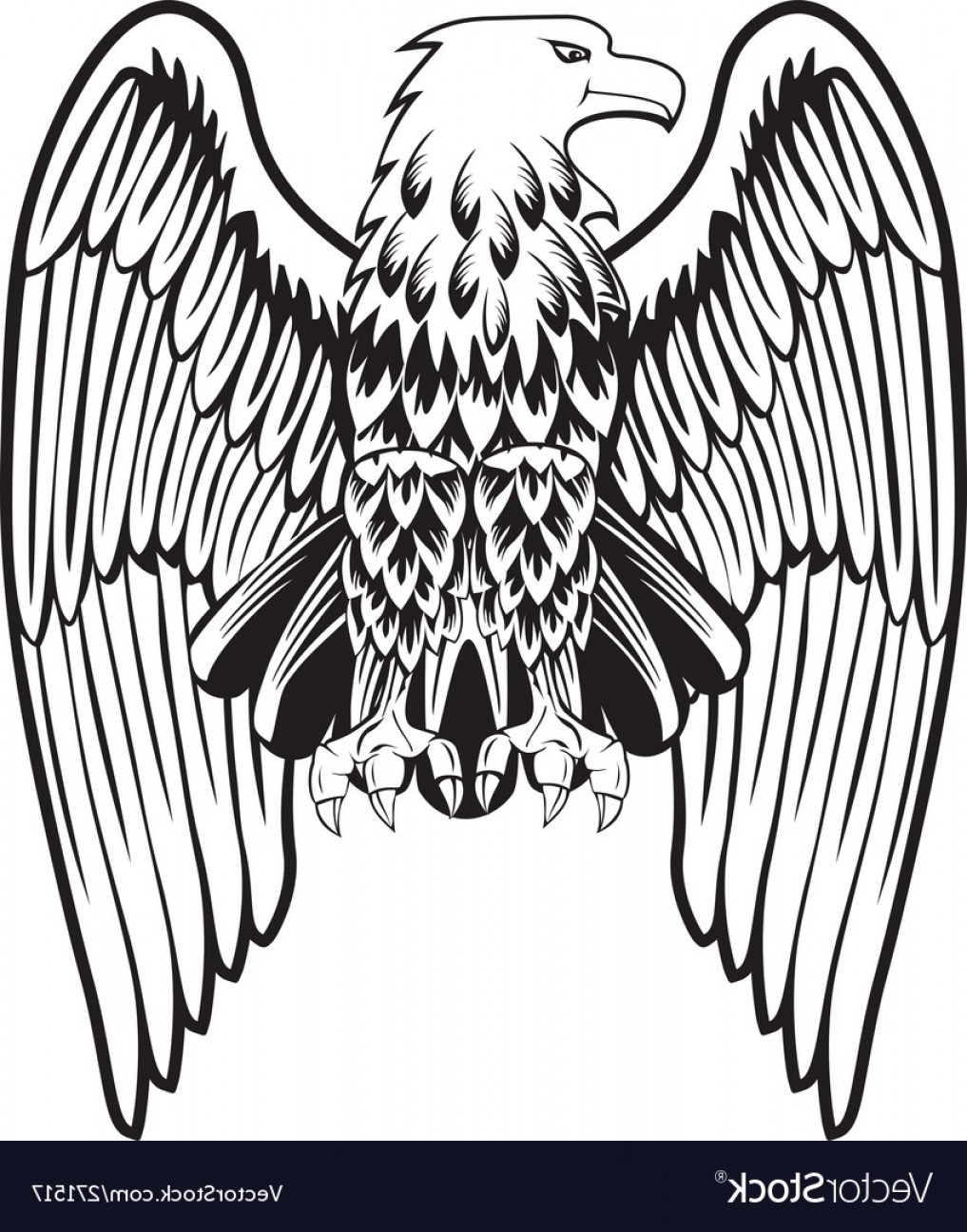 1017x1296 Eagle With The Lowered Wings Vector Soidergi