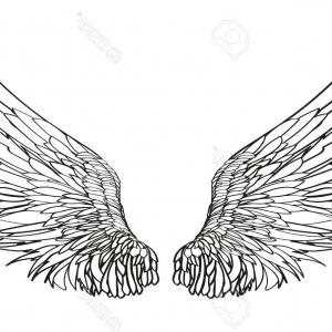 300x300 Hand Drawn Wings Vector Art Eagle Wings Illustration Image Newwaysys