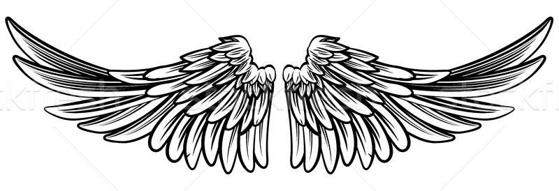 800x274 Spread Pair Of Angel Or Eagle Wings Vector Illustration Christos