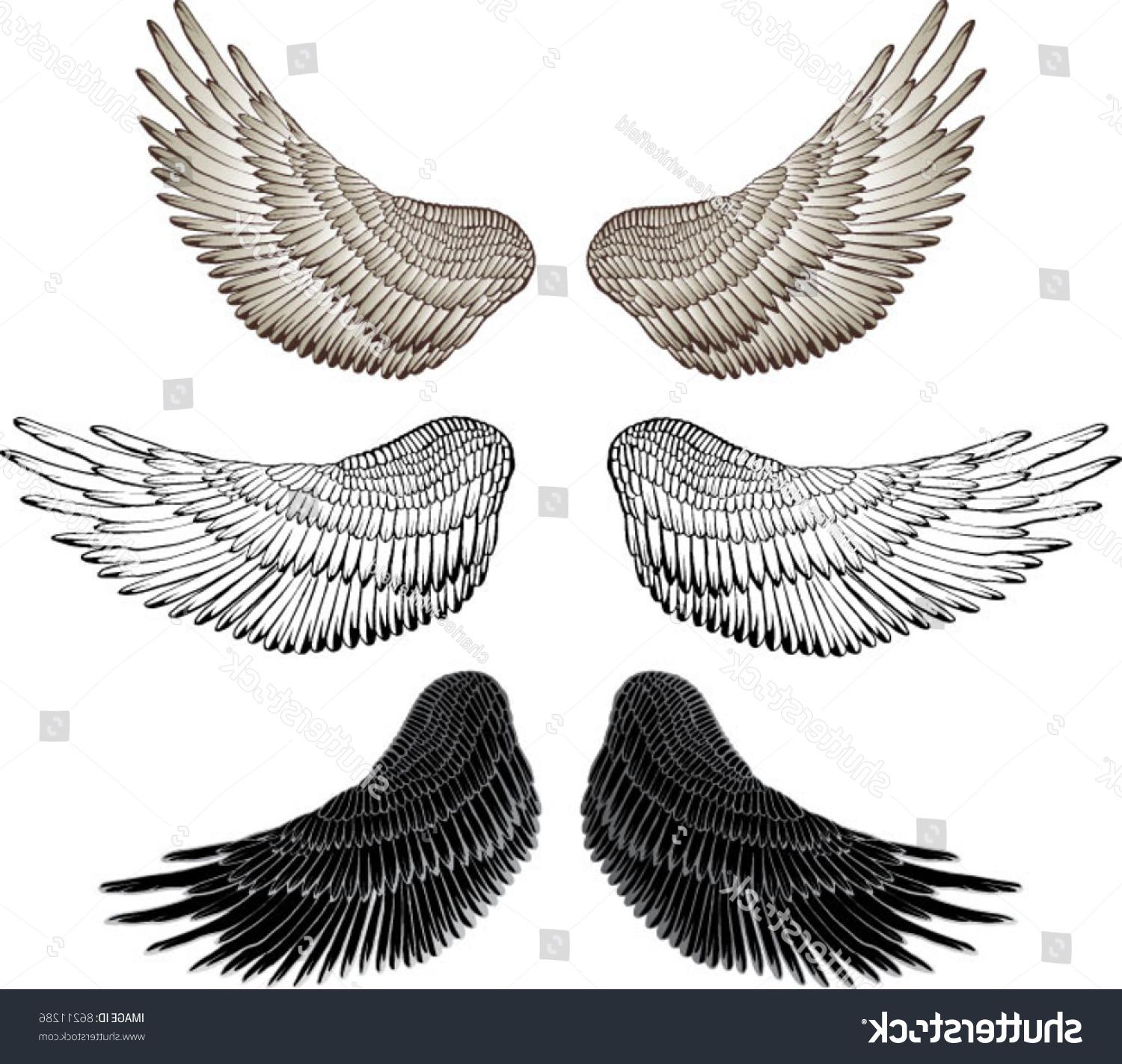 1500x1423 Best Eagle Wings Vector Library Free Vector Art, Images