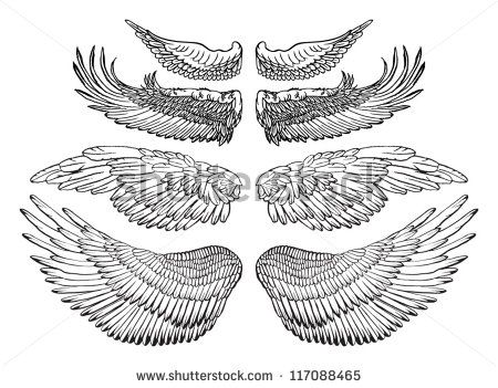 450x351 Eagle Wings