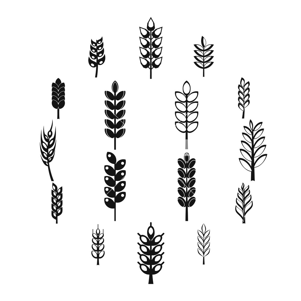 1000x1000 Ear Corn Icons Set Simple Illustration Of Ear Corn Vector