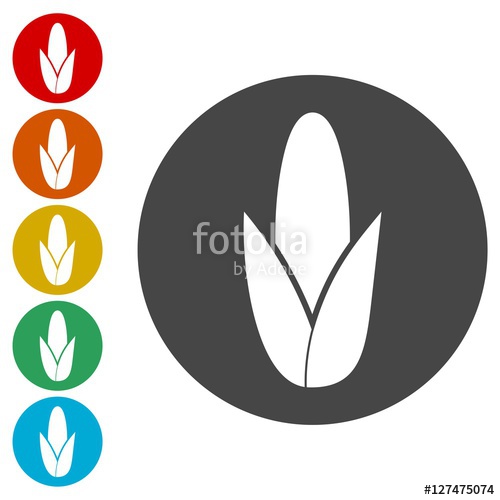 500x500 Ear Of Corn, Corn Symbol Set Stock Image And Royalty Free Vector