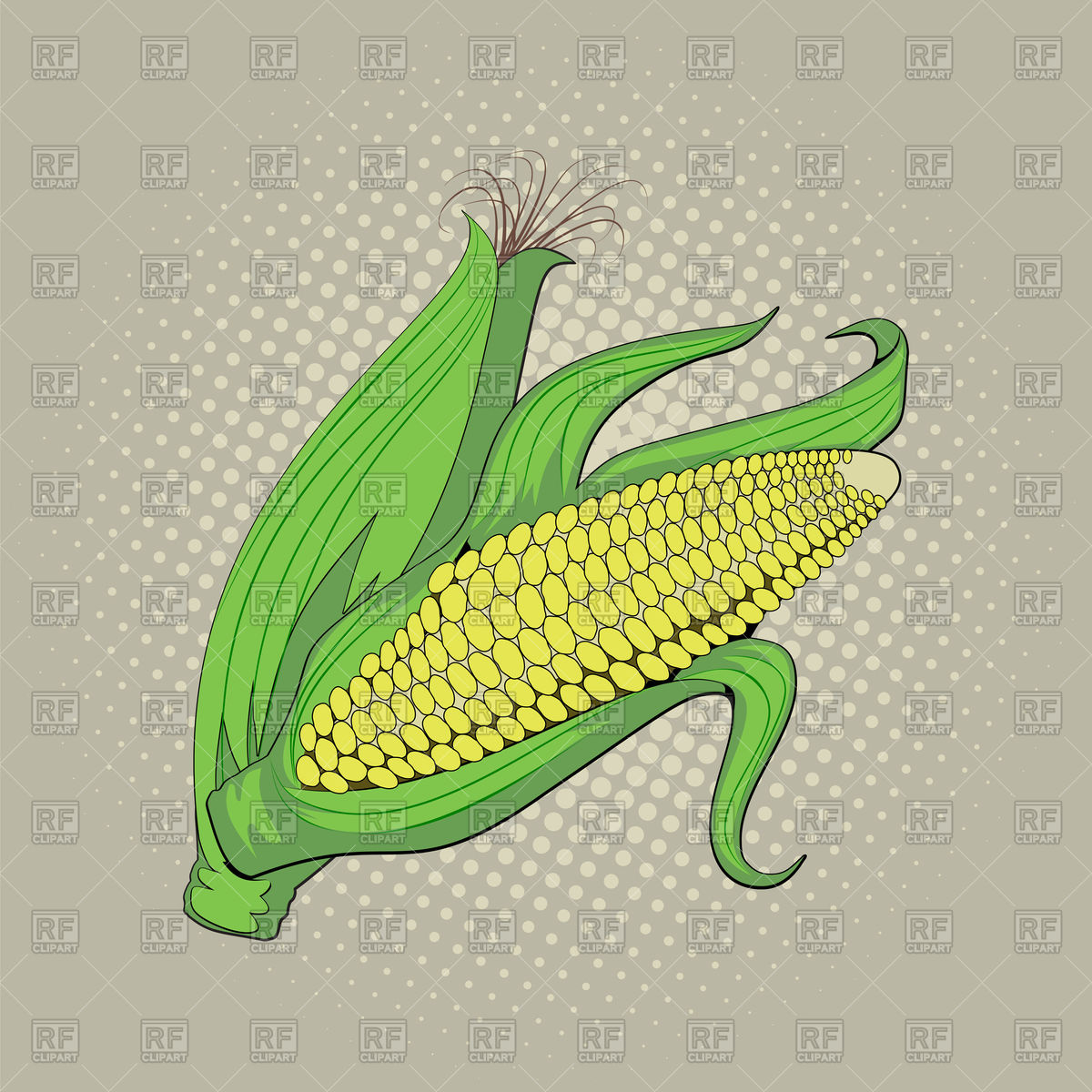 1200x1200 Ear Of Corn Vector Image Of Plants And Animals Zhukovskyi