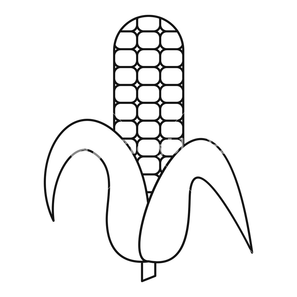 Ear Of Corn Vector at Vectorified.com | Collection of Ear Of Corn ...