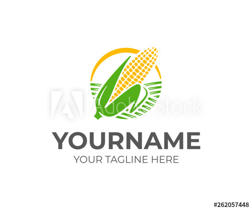 500x417 Ear Of Corn Logo Design Maize Crop Vector Design Corn Farming