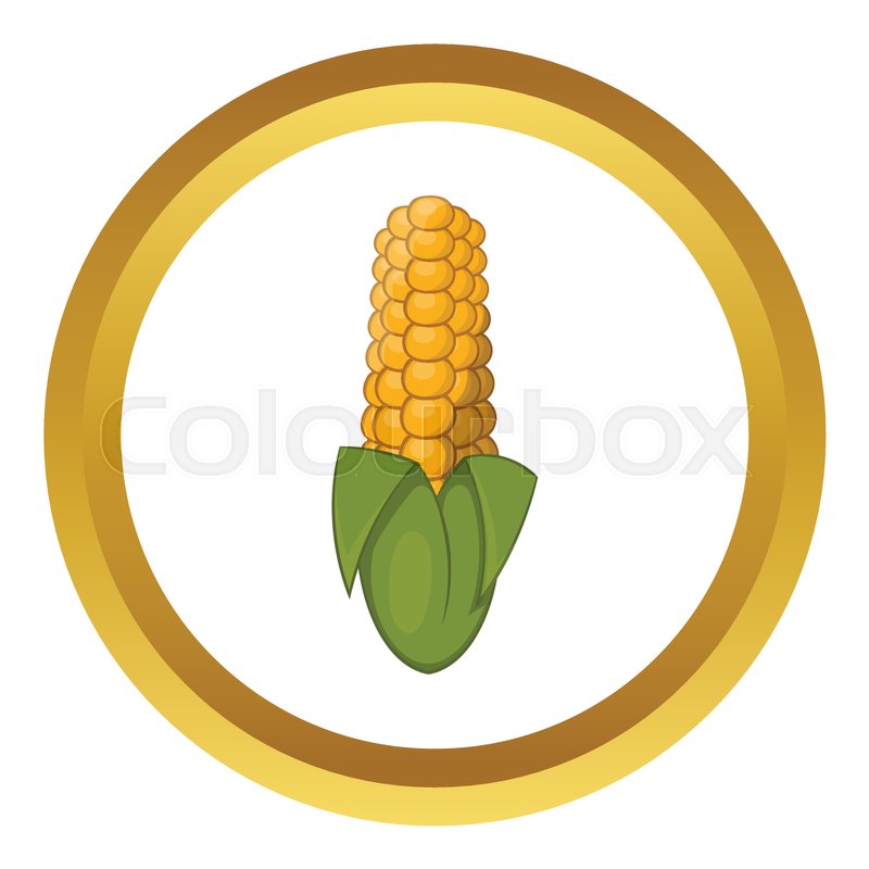 800x800 Ear Of Corn Vector Icon In Golden Stock Vector Colourbox