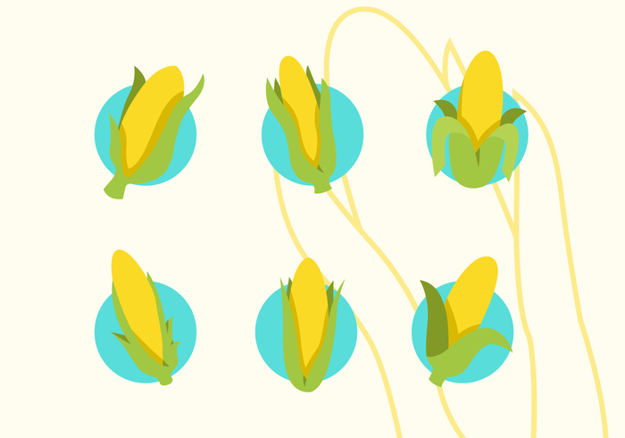 700x490 Pack Of Ear Of Corn Vector Flat Icons