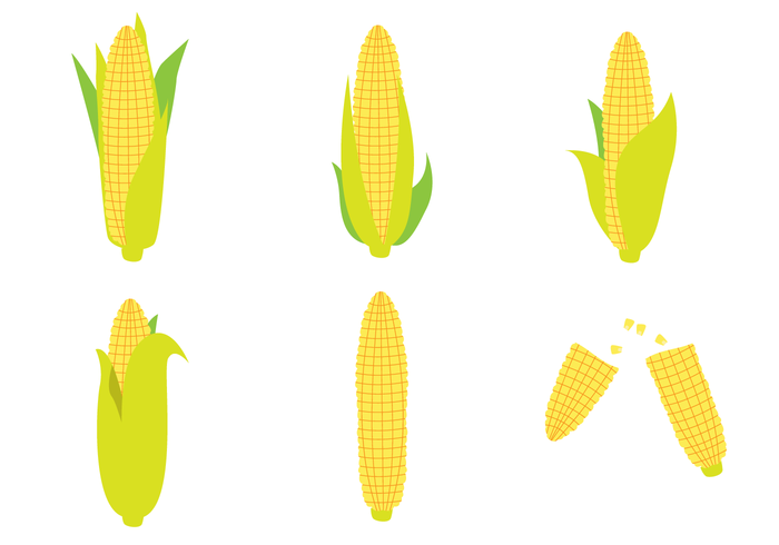 700x490 Corn Free Vector Art