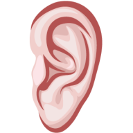 Ear Png Images Download Ear Pictures Download Ear Png Vector 192x192 Ear Png Images Download Ear Pictures Download Ear Png Vector