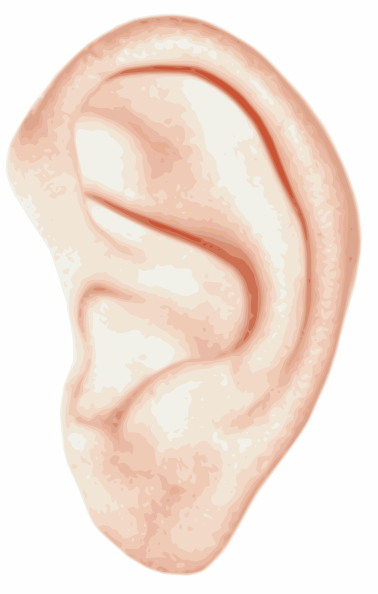 378x594 Human Ear Clip Art