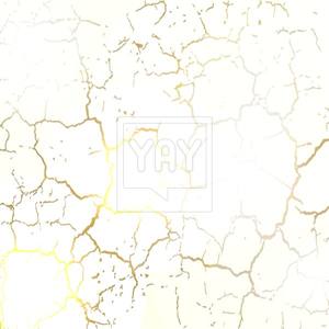 300x300 Dry Cracked Earth Texture Vector