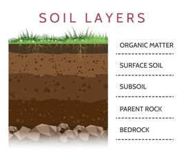 267x240 Dirt Layers Soil Layer Scheme With Grass And Roots, Earth Texture
