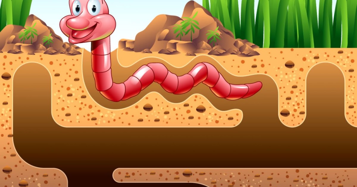 Earthworm Vector