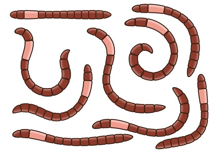 700x490 Earthworm Free Vector Art