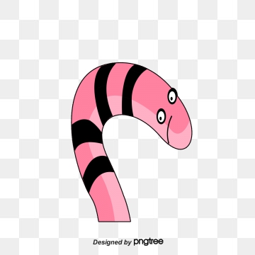 360x360 Earthworm Png, Vector, And Clipart With Transparent
