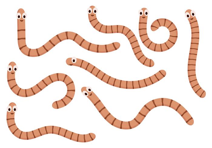 700x490 Earthworm Vector