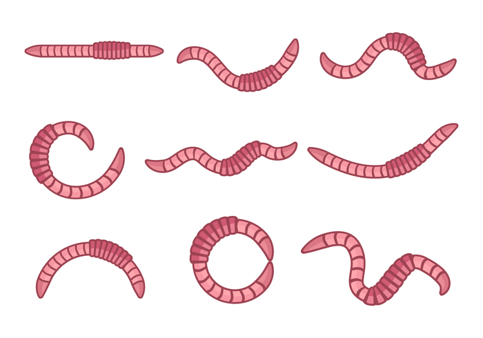 700x490 Free Earthworm Animal Vector
