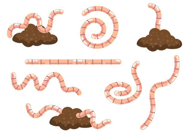 632x443 Free Earthworm Icons Vector Free Vector Download Cannypic