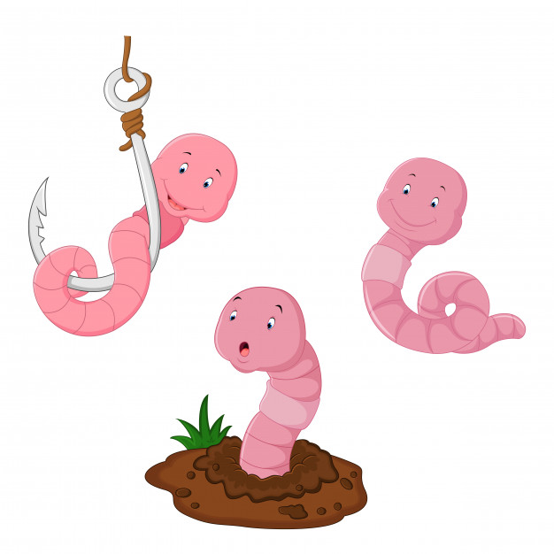 626x626 Funny Cartoon Earthworm Vector Premium Download