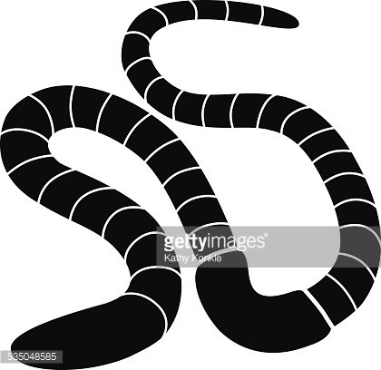 420x408 Vector Earthworm In Black And White Premium Clipart