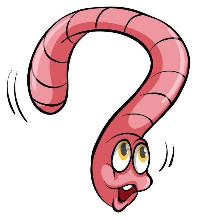 626x696 Worm Vectors, Photos And Free Download