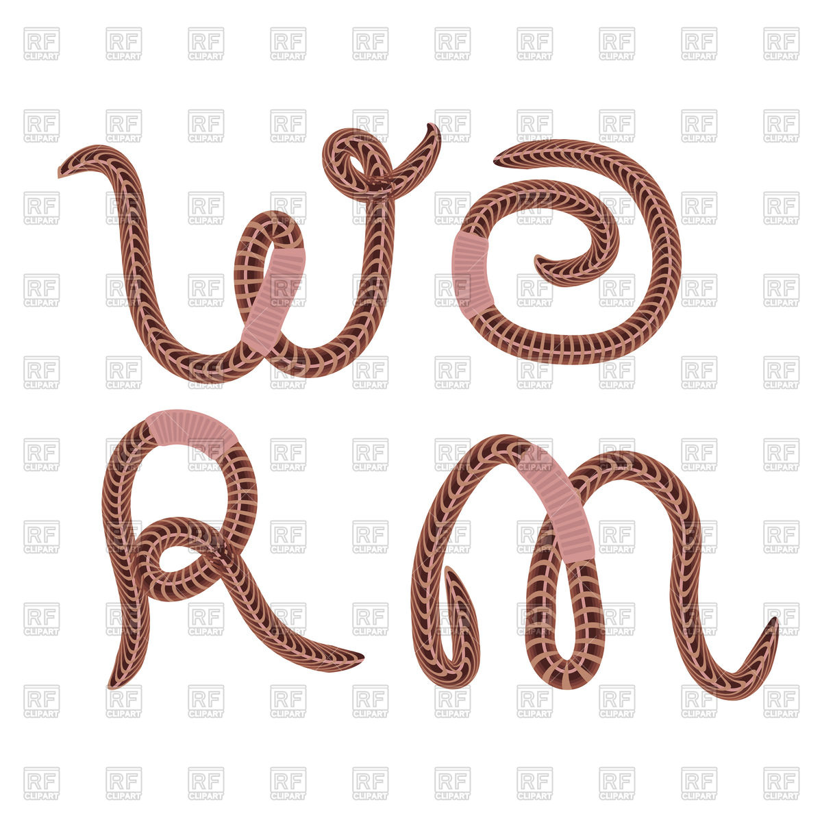 1200x1200 Worm Word Made Of Worms Vector Image Of Plants And Animals