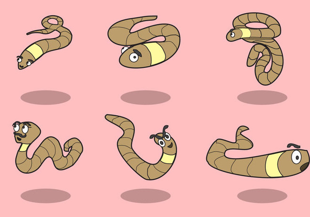 632x443 Cartoon Earthworm Vector Free Vector Download Cannypic