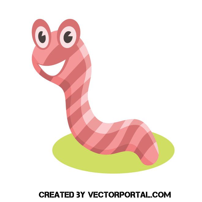 660x660 Cartoon Earthworm Vector Clip Art Animal Vectors Earthworms