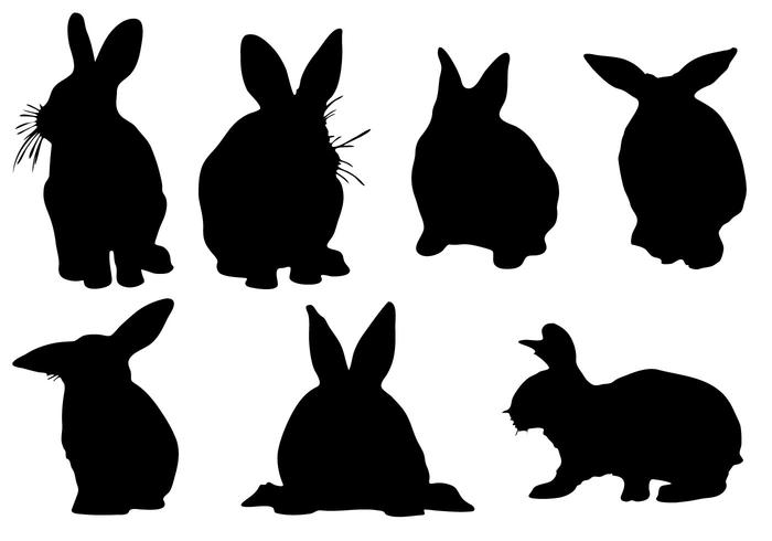 Rabbit Free Vector Art 700x490 Rabbit Free Vector Art